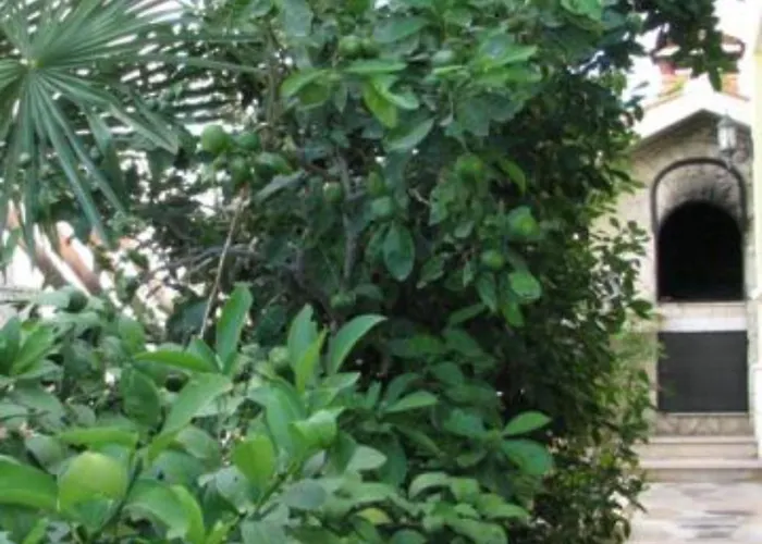 Daire Milakovic-kanica *